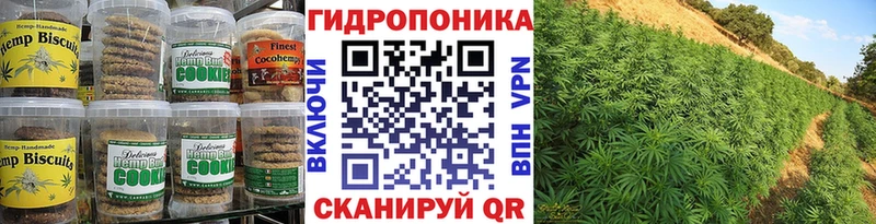 Купить закладки  Зеленокумск  Еда ТГК марихуана 