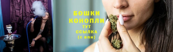 стафф Дмитров