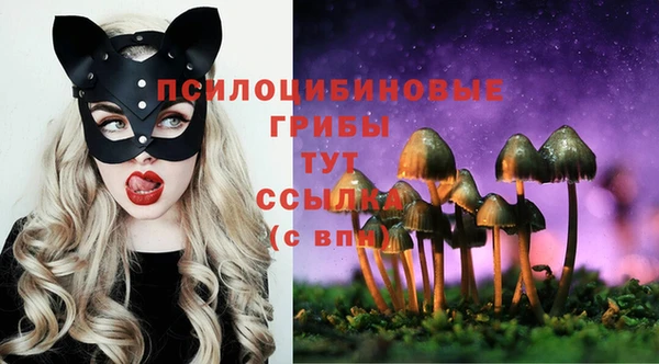ECSTASY Дмитровск