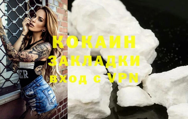 стафф Дмитров